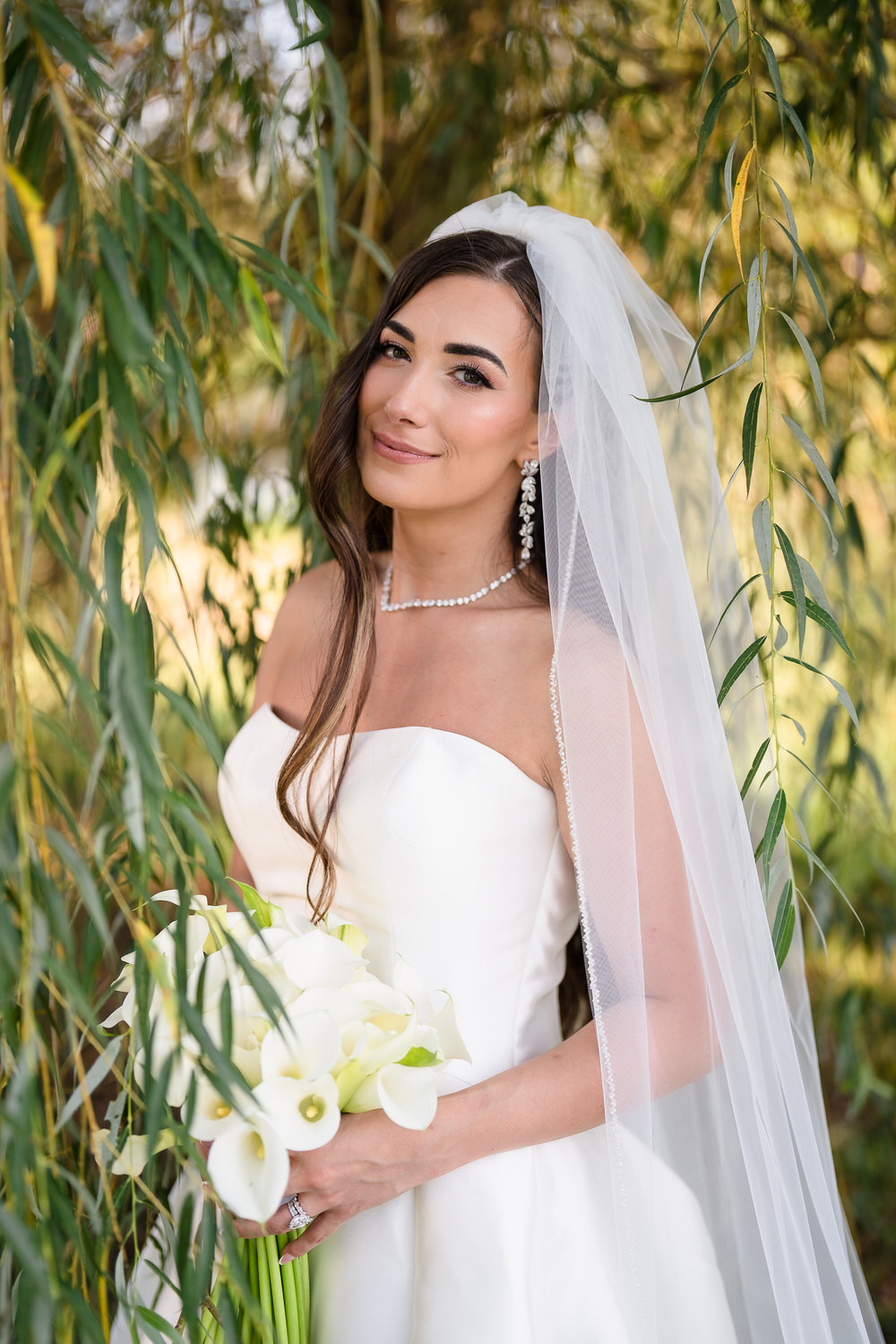 Bridal portrait of Amalia wearing a veil and strapless gown under a willow tree.