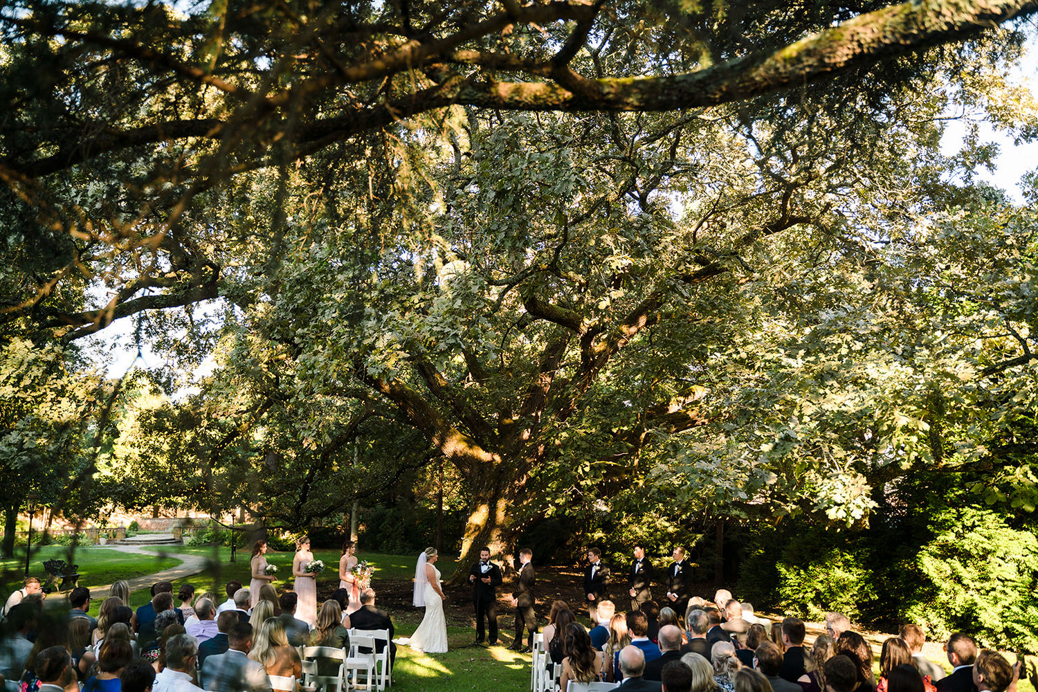 Outdoor wedding ceremony under a massive, ancient oak tree at the historic Aldie Mansion in Bucks County.