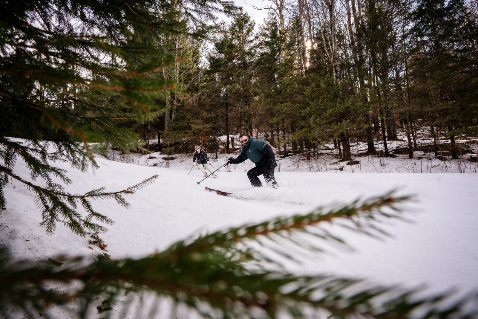 Skier carving through snow near pine trees at Elk Mountain ski resort