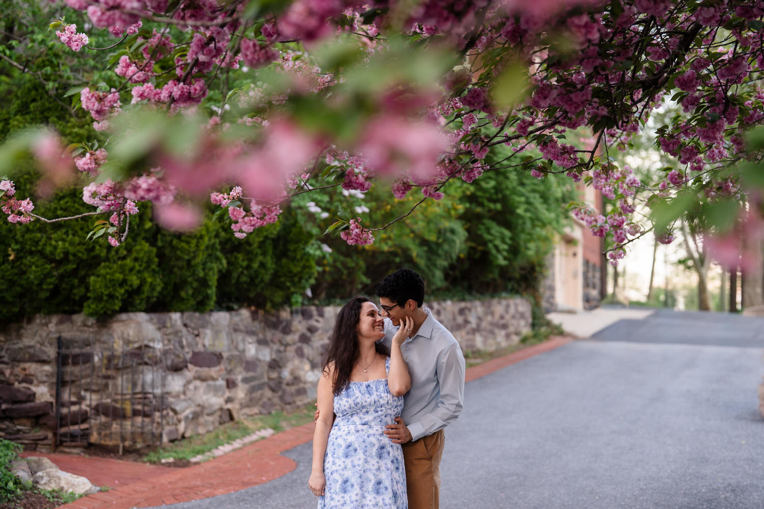 Engaged couple framed through pink cherry blossom branches in the foreground
