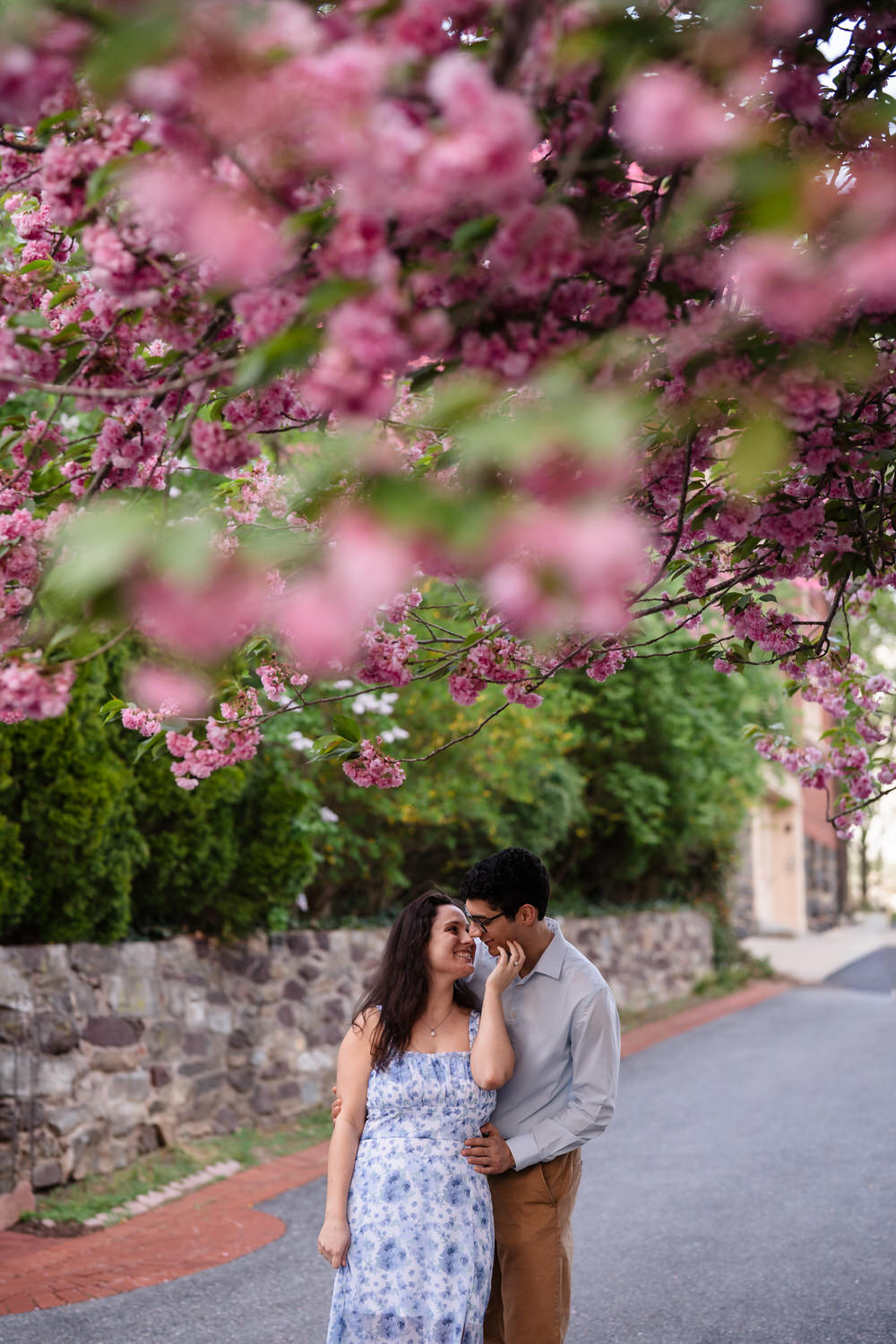 Couple stands beneath a weeping cherry blossom tree, Moravian University, Bethlehem PA