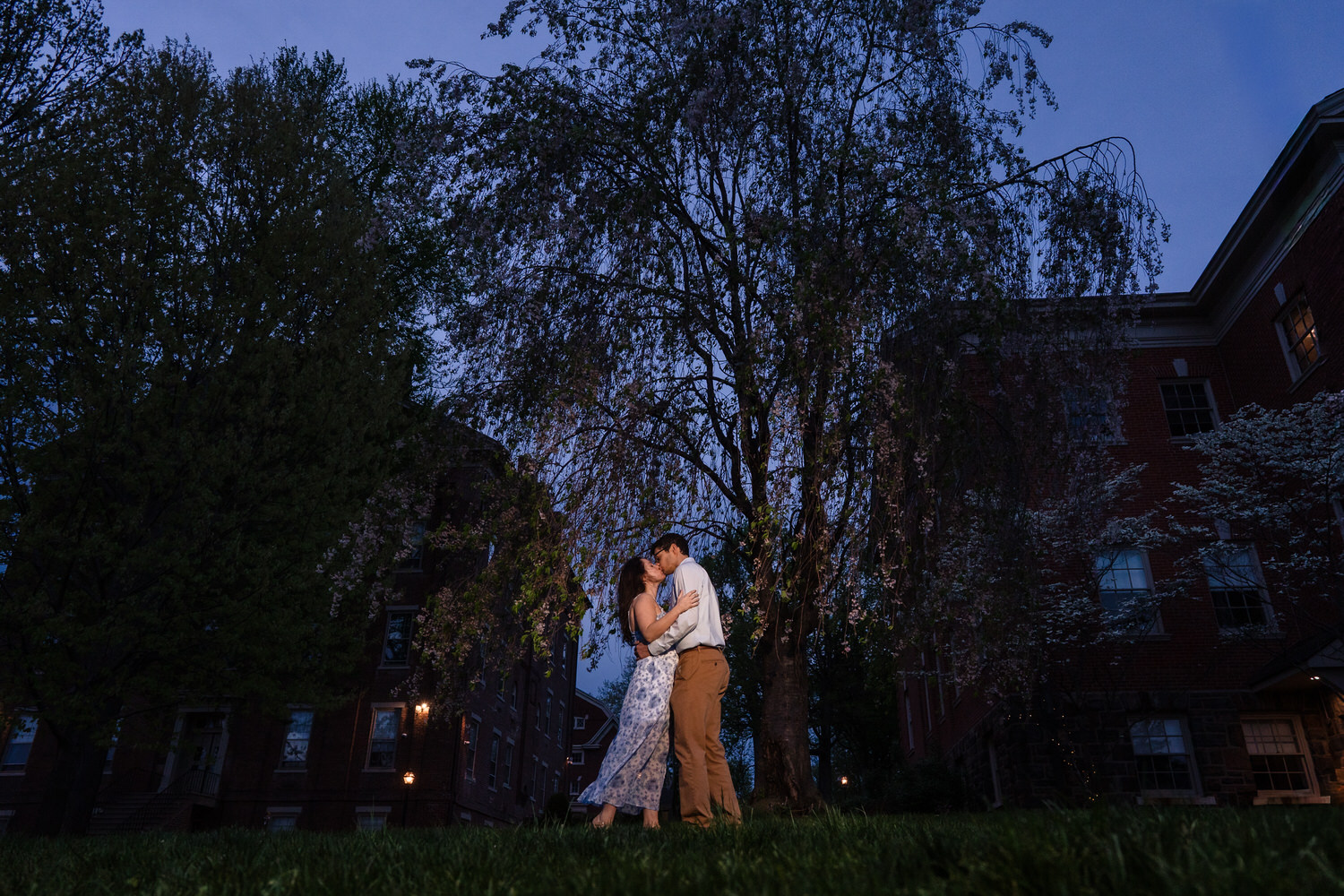 Engaged couple embraces beneath weeping willow branches at dusk, Moravian University, Bethlehem PA