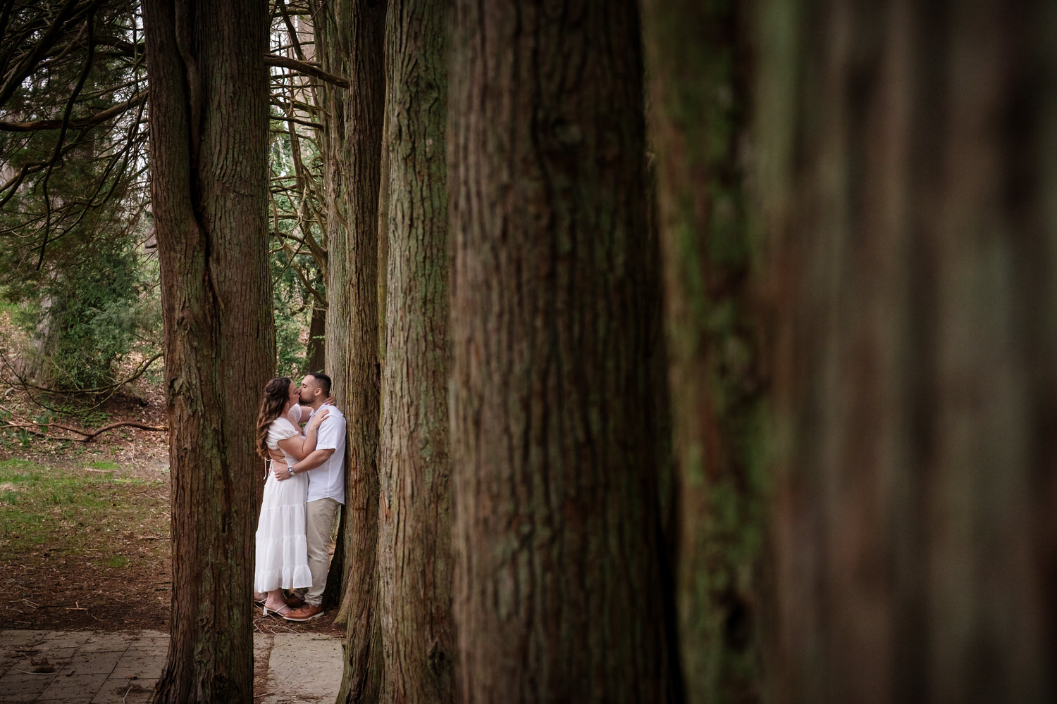 Couple framed between tall trees in forest during engagement shoot