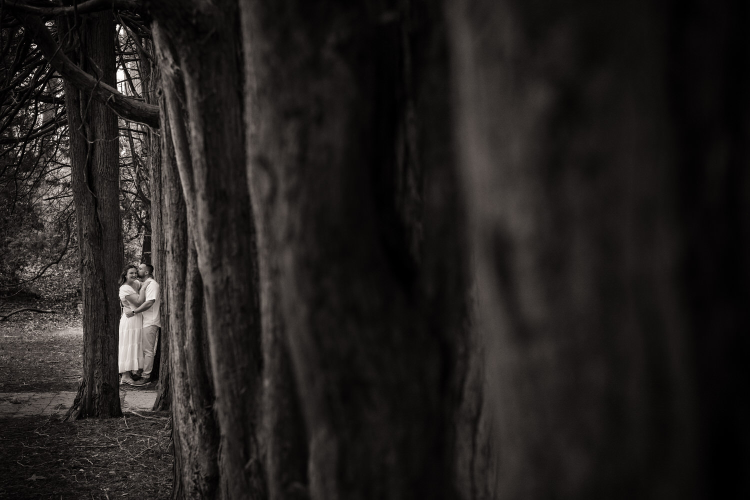 Moody foreground tree framing with couple in background during engagement session