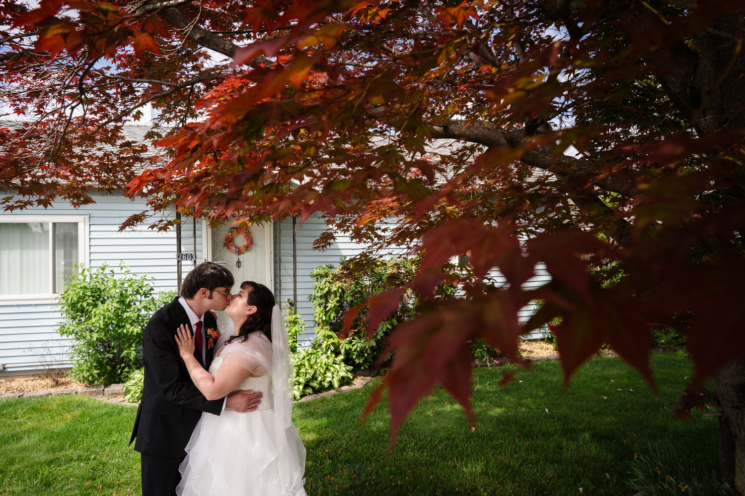 Bride and groom kissing beneath red maple tree during wedding portraits
