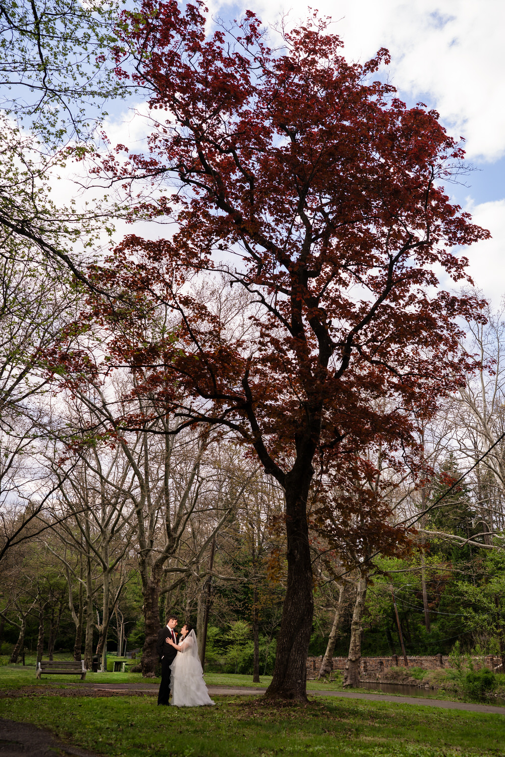 Red maple tree and spring landscape outside wedding venue