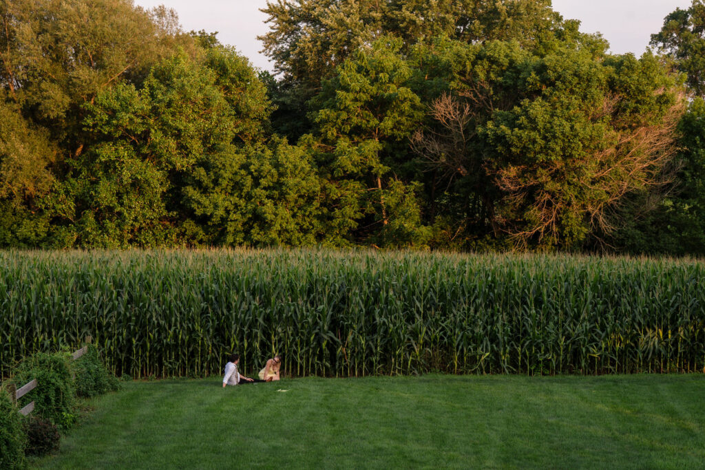 Two people sit on a green lawn near a tall cornfield, surrounded by dense, leafy trees under golden sunlight.