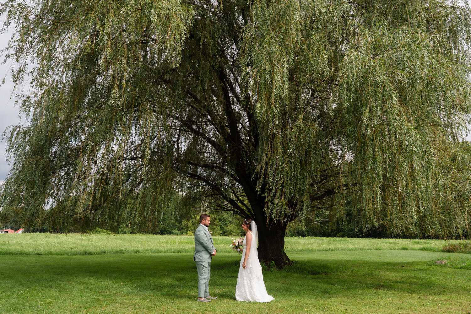 A bride and groom stand facing each other under a large willow tree in a green field, holding hands and gazing at each other on their wedding day.