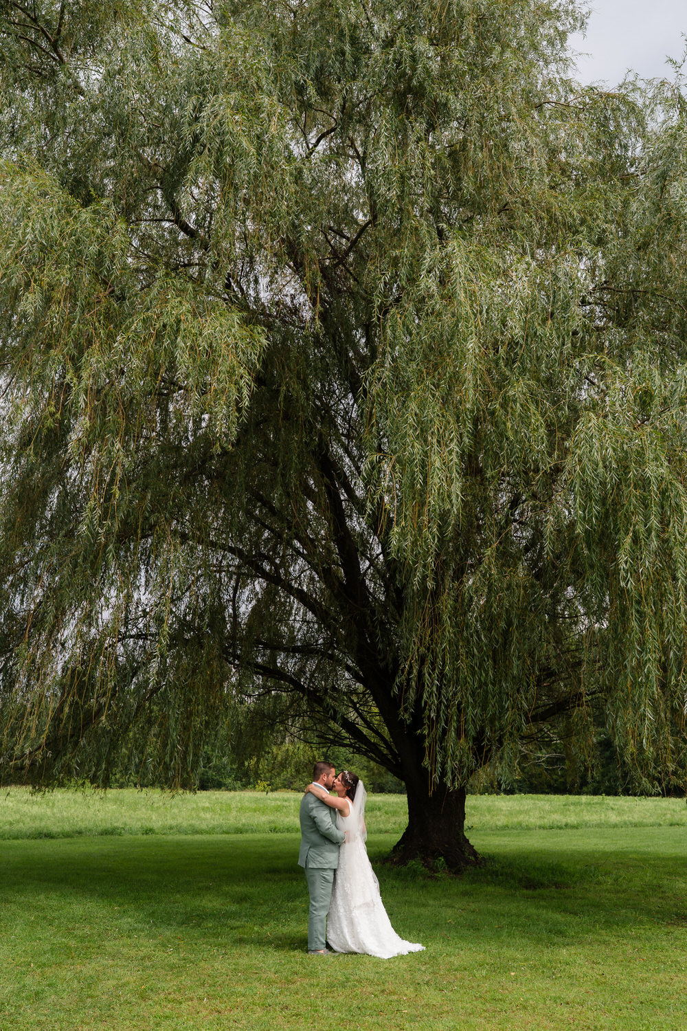 A bride and groom embrace beneath a large, leafy willow tree in a green field, with the trees branches creating a dramatic, natural backdrop.