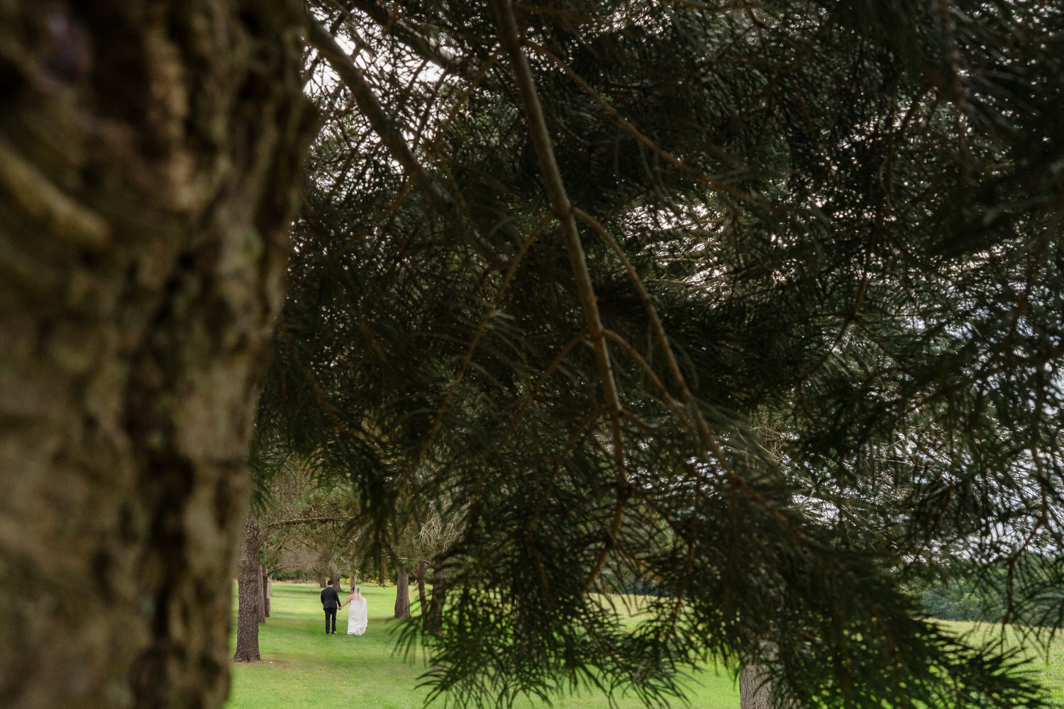 A bride and groom walk hand-in-hand across a grassy field viewed through tree branches.